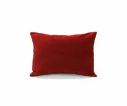 B12 Joei Velvet Lumbar Pillow 25 B12 Joei Velvet Lumbar Pillow -Home Decor Sales B12 DS186214 12 93e6a434 52f2 4fdb 8a2f 521e9904cc29