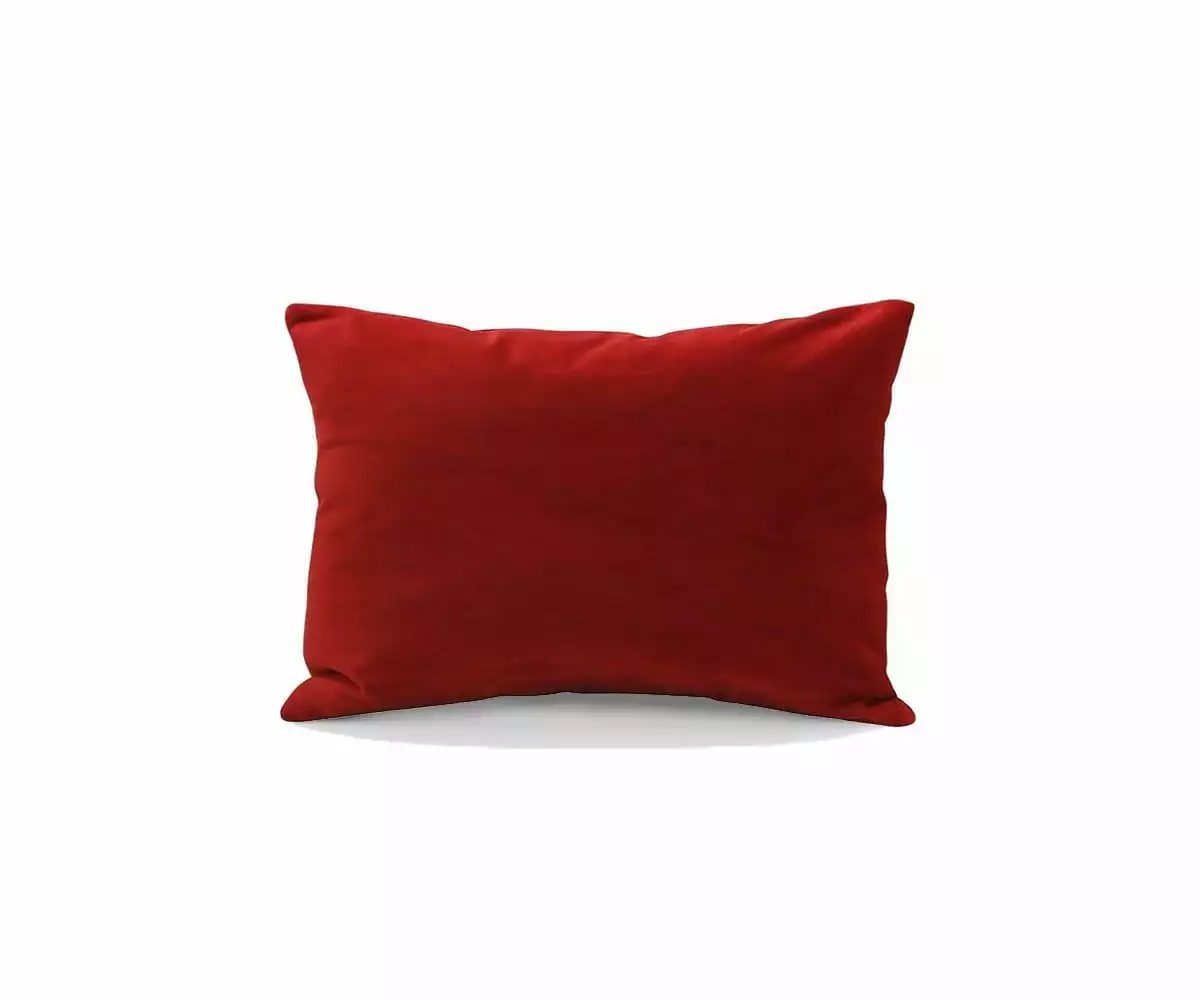 B12 Joei Velvet Lumbar Pillow 12 B12 Joei Velvet Lumbar Pillow - Image 12