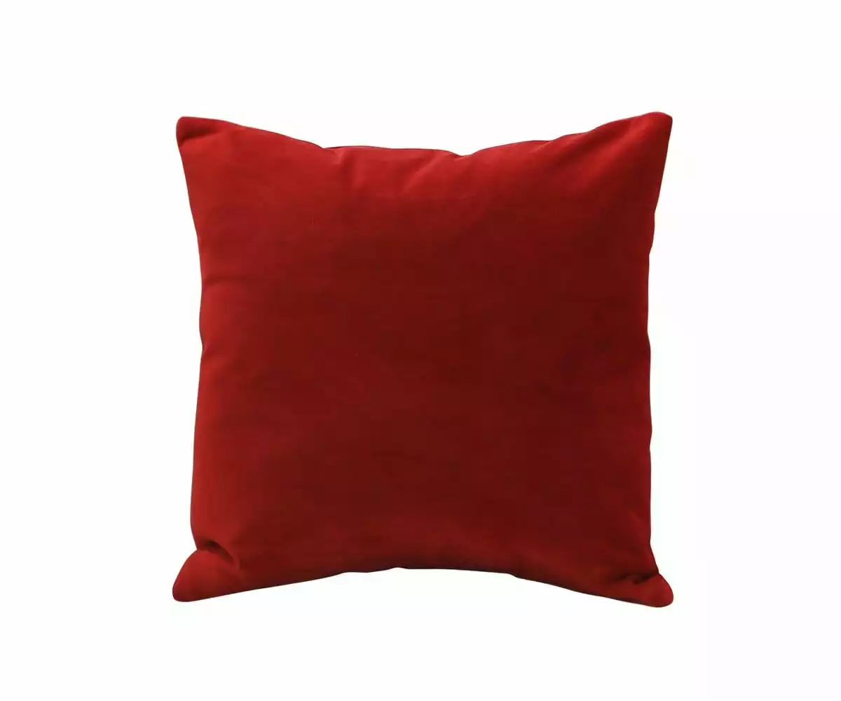 B12 Joei Velvet Pillow 26 B12 Joei Velvet Pillow - Image 26