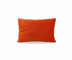 B12 Joei Velvet Lumbar Pillow 23 B12 Joei Velvet Lumbar Pillow -Home Decor Sales B12 DS186215 12 bdbf8881 a606 4429 bdeb dfc7cba2d1a0