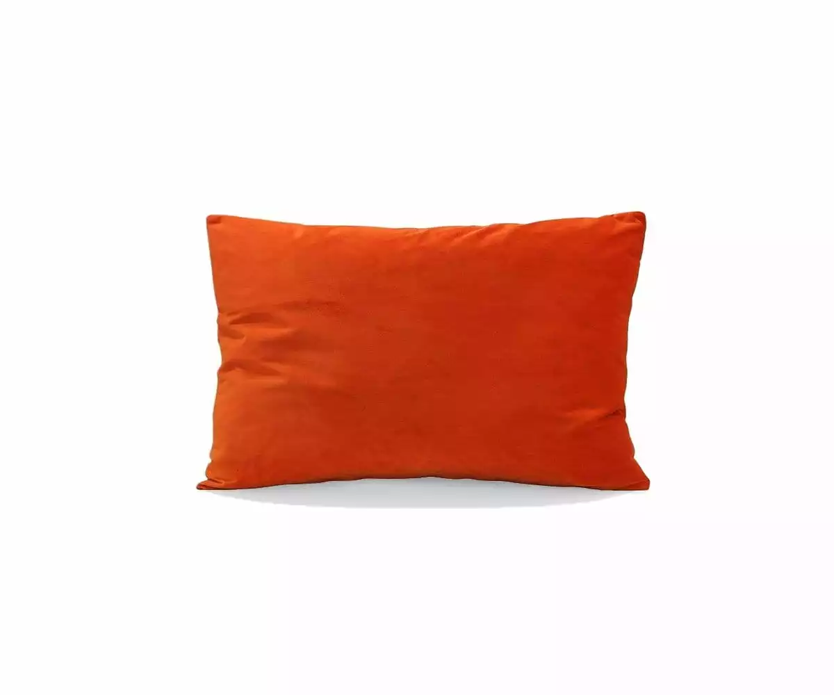 B12 Joei Velvet Lumbar Pillow 10 B12 Joei Velvet Lumbar Pillow - Image 10