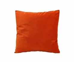 B12 Joei Velvet Pillow 48 B12 Joei Velvet Pillow -Home Decor Sales B12 DS186215 18 e604992c 3893 4e84 81a8 87d2c547d48f