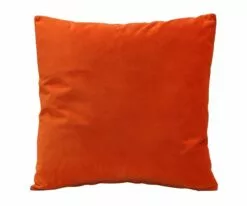 B12 Joei Velvet Pillow 49 B12 Joei Velvet Pillow -Home Decor Sales B12 DS186215 22 73135c4c b9e8 4bca ab54 c866b70ad45c
