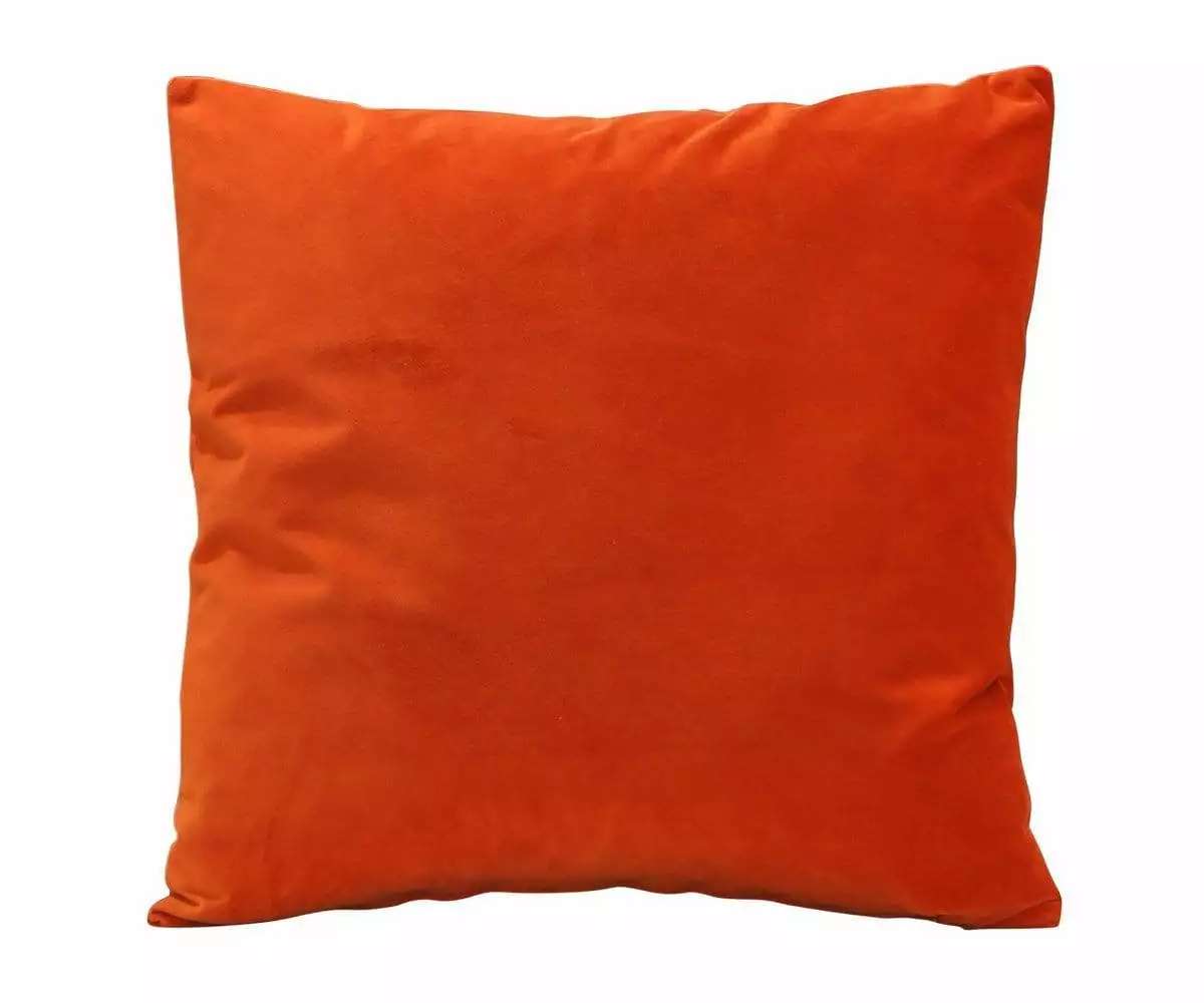 B12 Joei Velvet Pillow 21 B12 Joei Velvet Pillow - Image 21