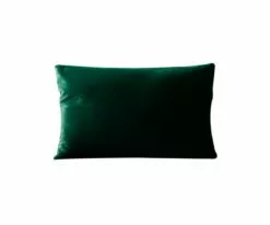 B12 Joei Velvet Lumbar Pillow 19 B12 Joei Velvet Lumbar Pillow -Home Decor Sales B12 Joei dark green 25 18x12 2734205e adf3 49fb 89fa ed58c8b45518