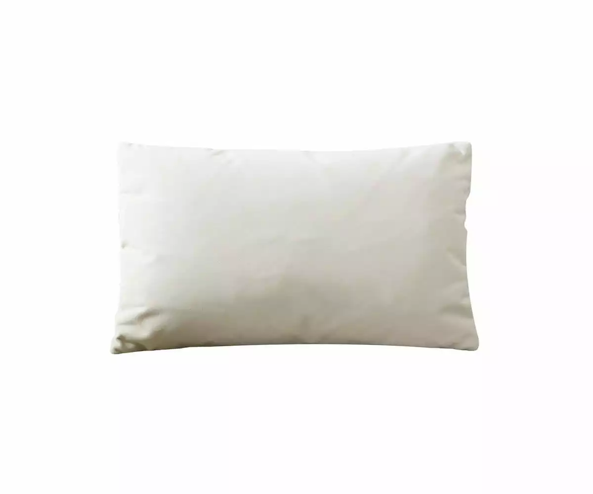 B12 Joei Velvet Lumbar Pillow 5 B12 Joei Velvet Lumbar Pillow - Image 5