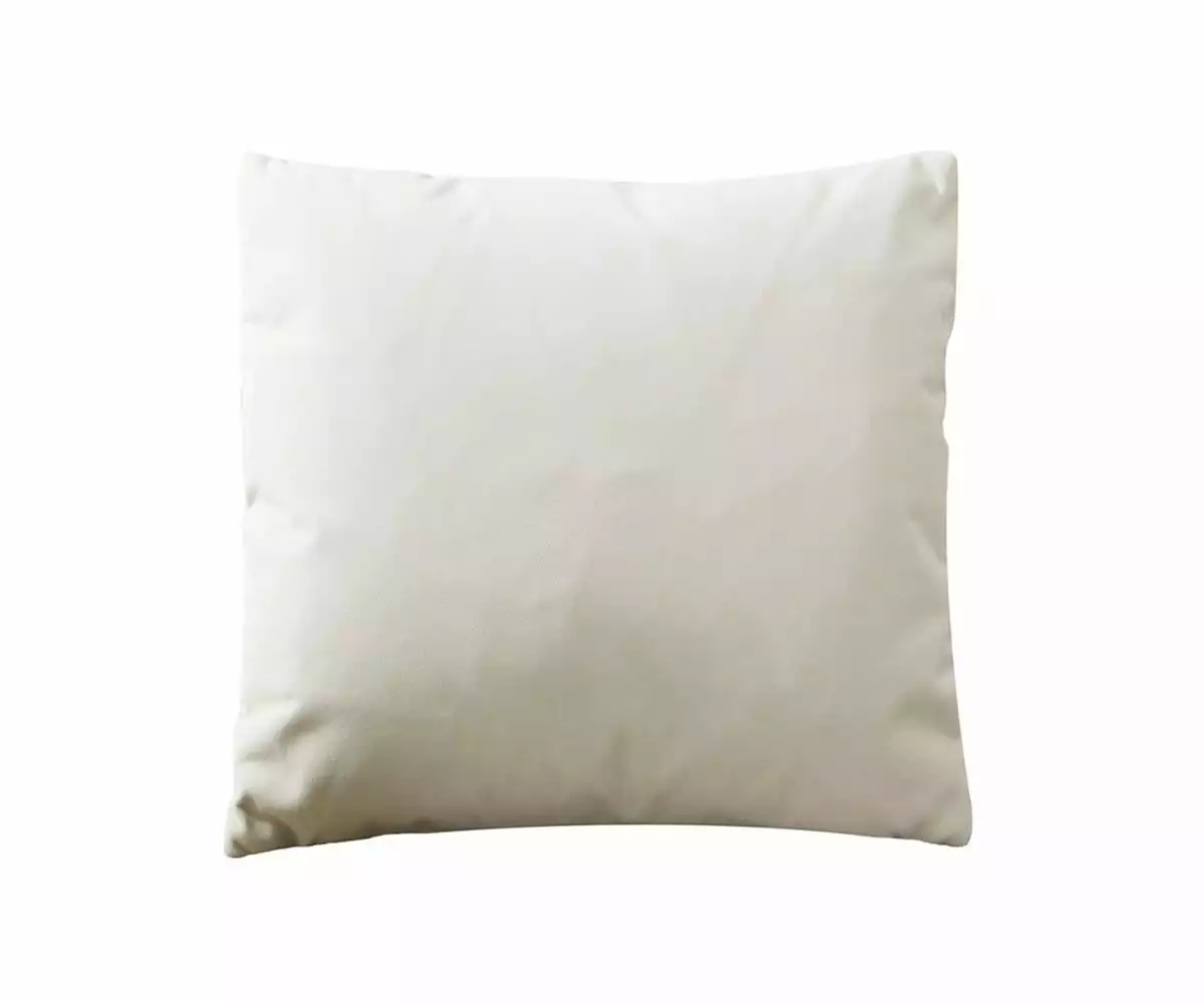 B12 Joei Velvet Pillow 10 B12 Joei Velvet Pillow - Image 10