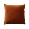 B12 Joei Velvet Pillow