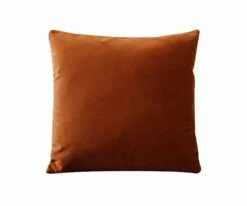 B12 Joei Velvet Pillow