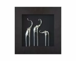 G24 Samnaum I Elephant Graphic