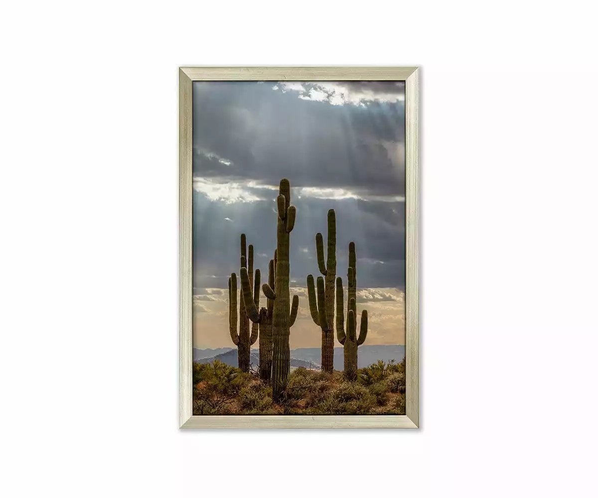 L33 Desert Bliss 1 L33 Desert Bliss