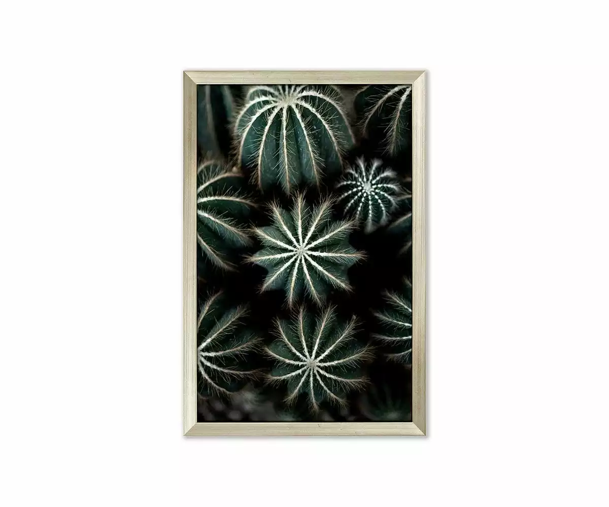 L33 Enchanted Effervescence 1 L33 Enchanted Effervescence