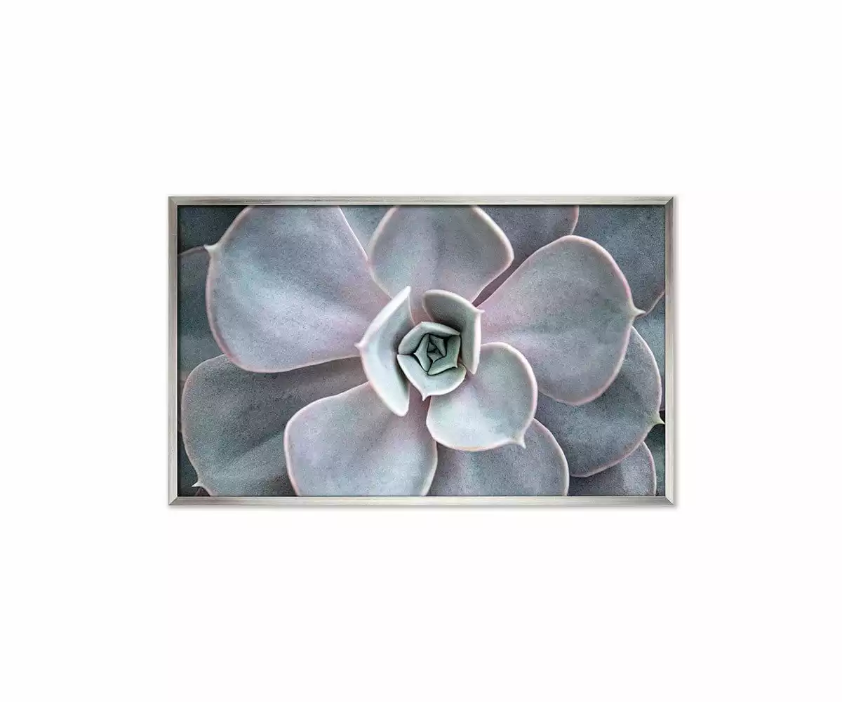 L33 Enchanted Tranquility 1 L33 Enchanted Tranquility