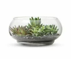 S64 Garden Faux Succulents in Glass Bowl Terrarium