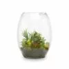 S64 Faux Succulent Variety in Glass Bowl Terrarium