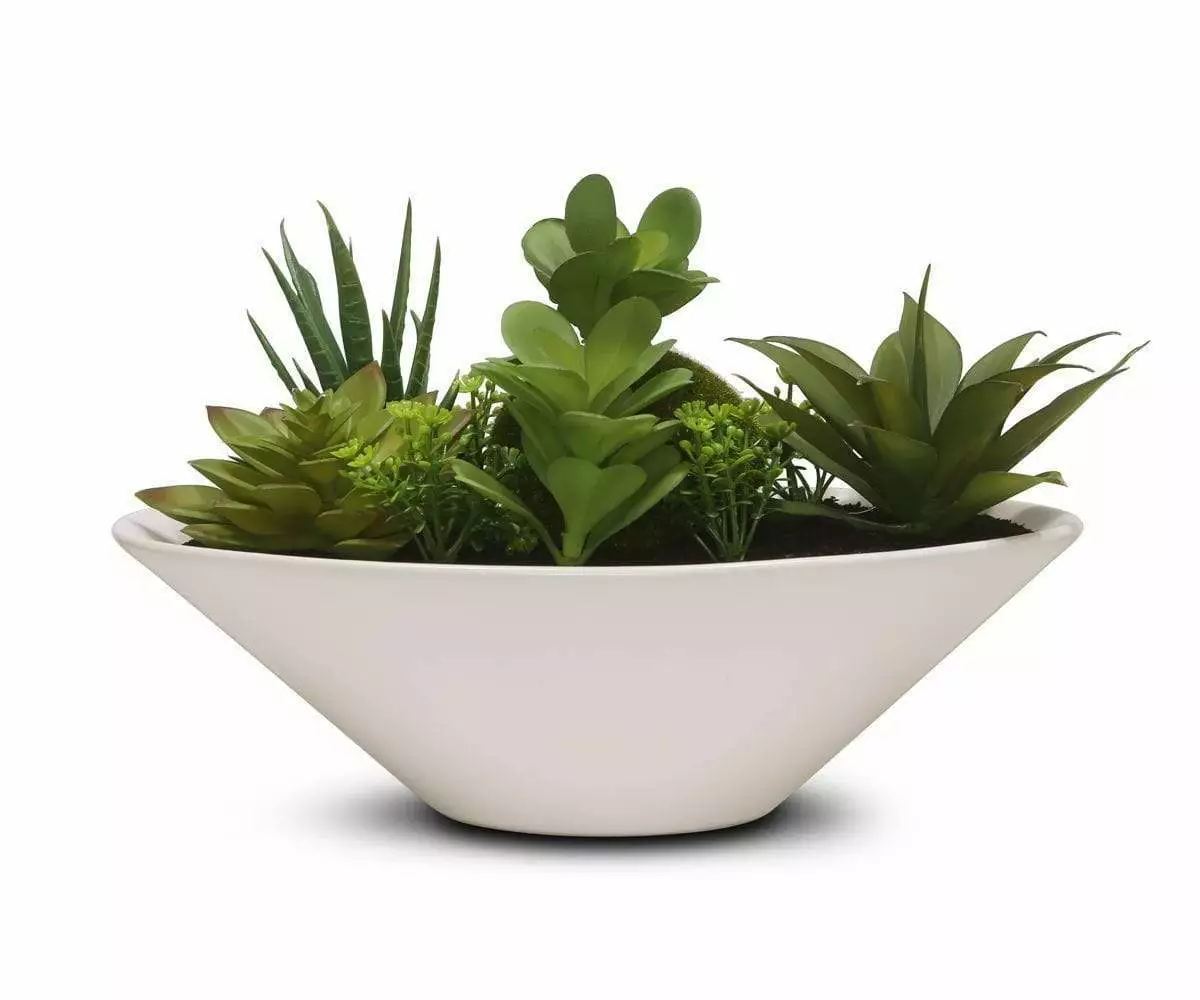 S64 Large Potted Curated Faux Succulents 1 S64 Large Potted Curated Faux Succulents