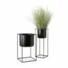 M52 Vaskr Planters
