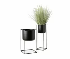 M52 Vaskr Planters
